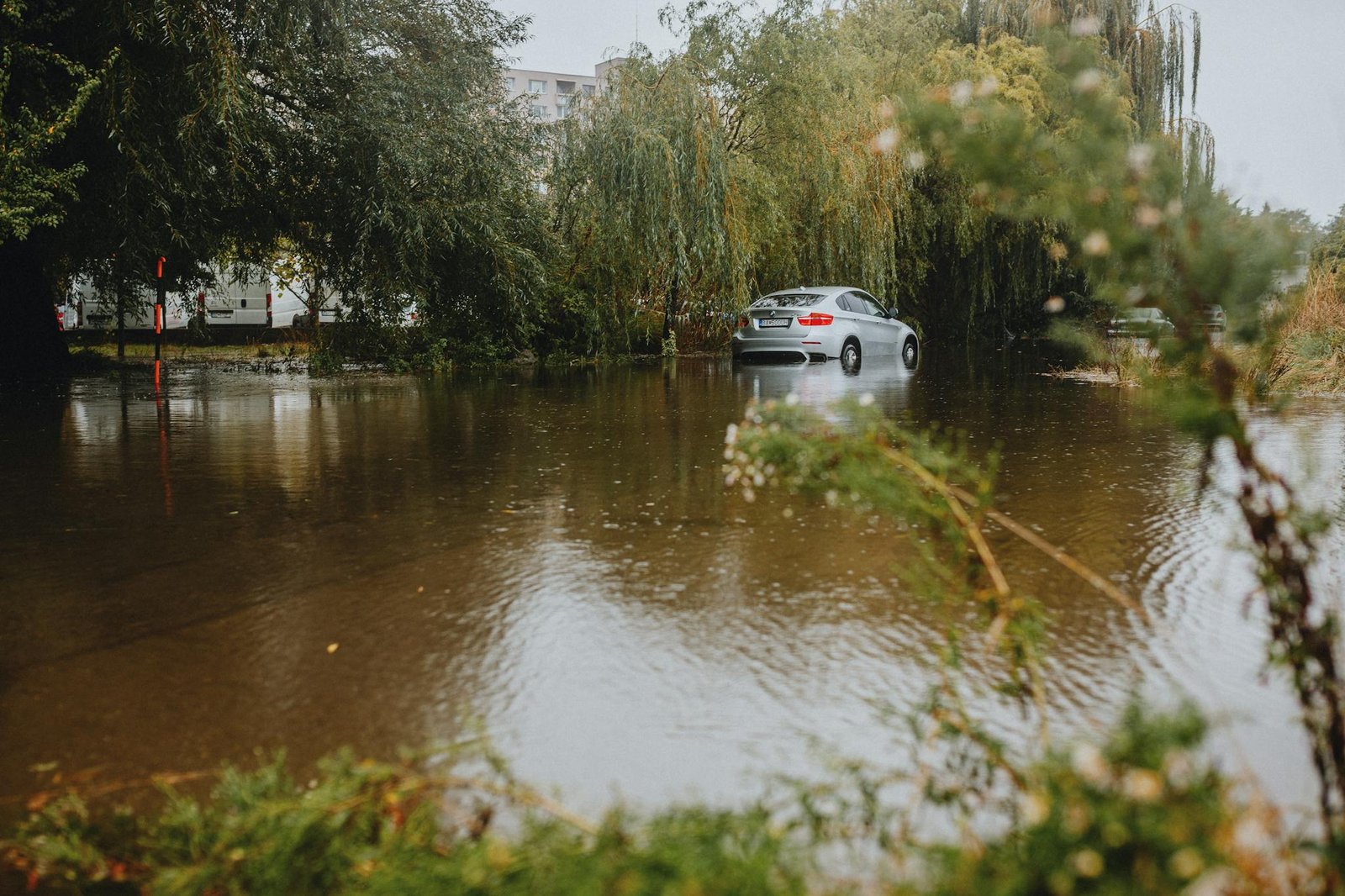 A silver car partially submerged in floodwaters surrounded by trees, reflecting environmental impact.