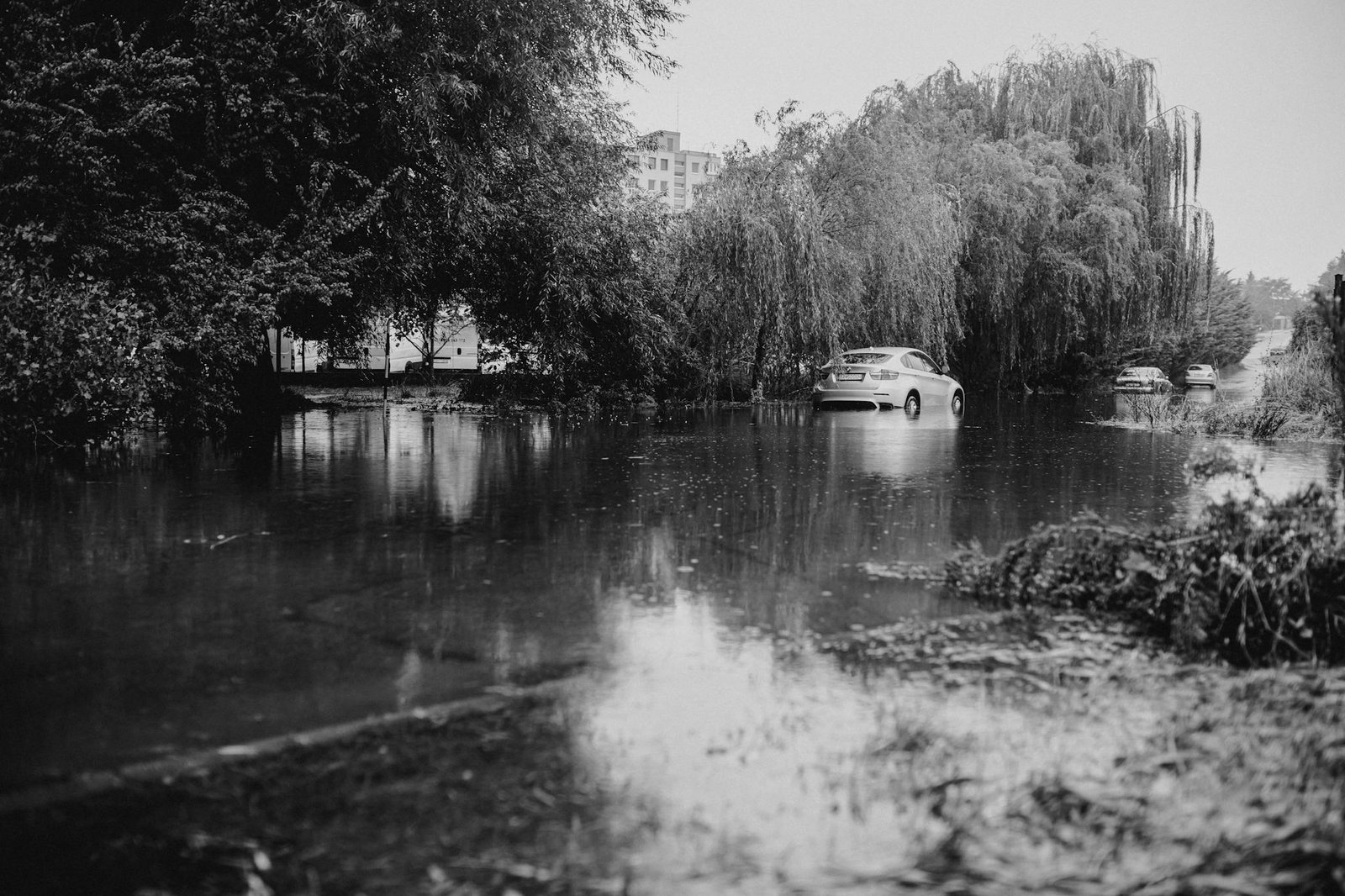 Monochrome image of cars stranded on a flooded street with lush trees and buildings in the background.